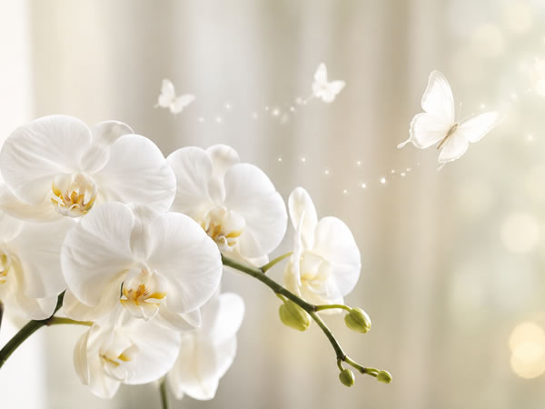 �K�������ł���Ӓ���