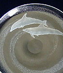 イルカの大皿：吹きで作って頂いたお皿にペアイルカを泳がせました
