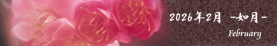 2026年2月