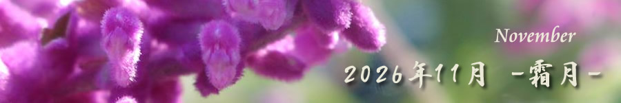 2026�N11�� �s��